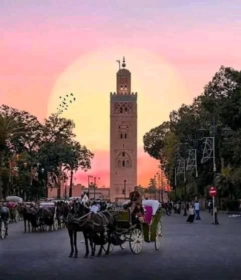 Authentic Moroccan Charm Apartment In Marrakech Terrace Marrakesh Ngoại thất bức ảnh