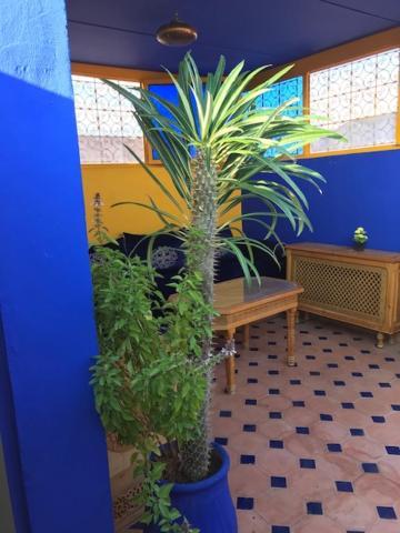Authentic Moroccan Charm Apartment In Marrakech Terrace Marrakesh Ngoại thất bức ảnh