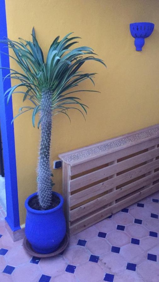 Authentic Moroccan Charm Apartment In Marrakech Terrace Marrakesh Ngoại thất bức ảnh